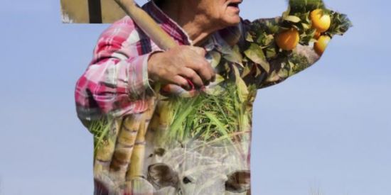 Imagem do grupo de WhatsApp Produtores Rurais 🇧🇷🌱🌾🍀🚜🙏🏻