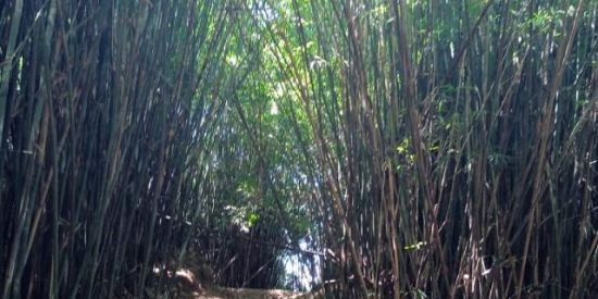 Imagem do grupo de WhatsApp Kimbanda Malei SP..