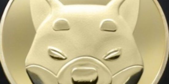 Imagem do grupo de WhatsApp Shiba inu notícias