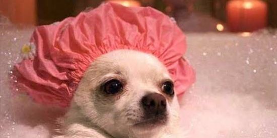 Imagem do grupo de WhatsApp Amzd ou nmr<3