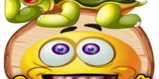 Imagem do grupo de WhatsApp GRUPO DE HUMOR