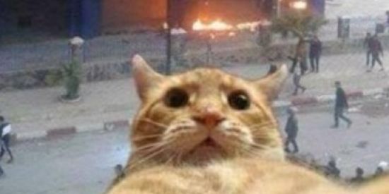 Imagem do grupo de WhatsApp 🔞🍺 | Las Bagaceiras 😎👌🏿⚠️