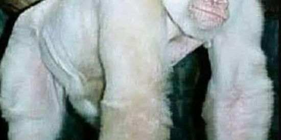 Imagem do grupo de WhatsApp Grupo de desenhos china