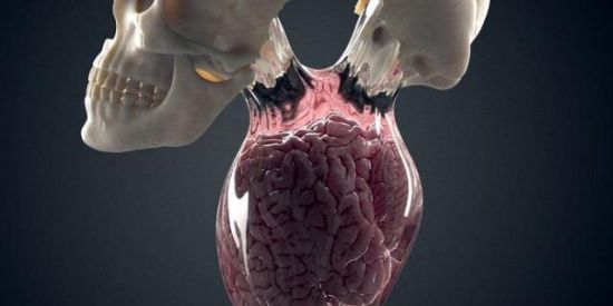 Imagem do grupo de WhatsApp ᅠᅠᅠi️ɴᴛᴇʟᴇᴄᴛɪᴠᴏs