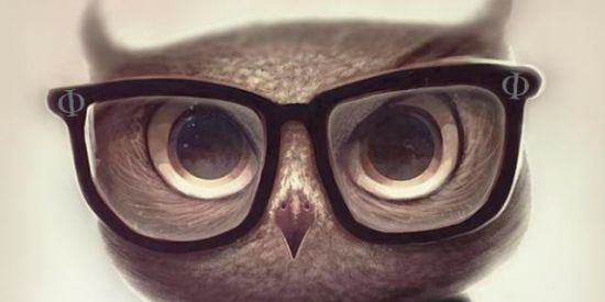 Imagem do grupo de WhatsApp ᅠᅠ   🅿ʜɪʟᴏsᴏᴘʜɪᴀ 🦉