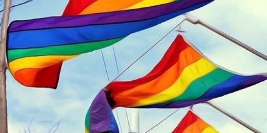 Imagem do grupo de WhatsApp 🌈👭❤️Diário Delas👭🌈