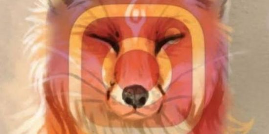 Imagem do grupo de WhatsApp 🏵️||•RECRUTAMENTO||•🏵️