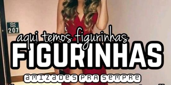 Imagem do grupo de WhatsApp FIGURINHAS E AMIZADE ❤🍃