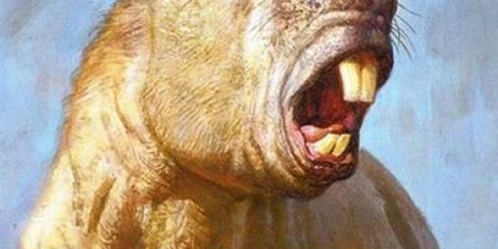 Imagem do grupo de WhatsApp Bila Bilu a elefanta Bilu