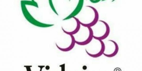 Imagem do grupo de WhatsApp Videira