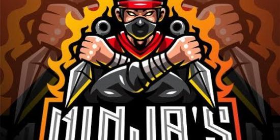 Imagem do grupo de WhatsApp 🟦1【NJ】ɴɪɴʝą's 🥷