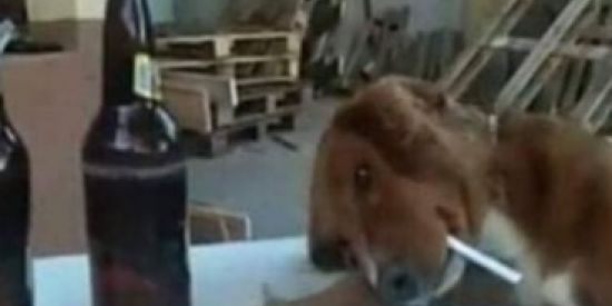 Imagem do grupo de WhatsApp Renegados