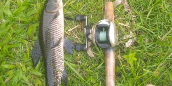 Imagem do grupo de WhatsApp Pescaria 🎣