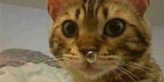 Imagem do grupo de WhatsApp you n' me <3