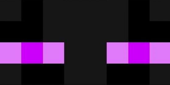 Imagem do grupo de WhatsApp MINECRAFT PLAY》▪︎MP