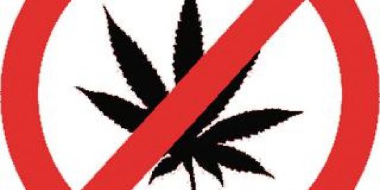 Imagem do grupo de WhatsApp Só pra zoar 🤝🏾😎