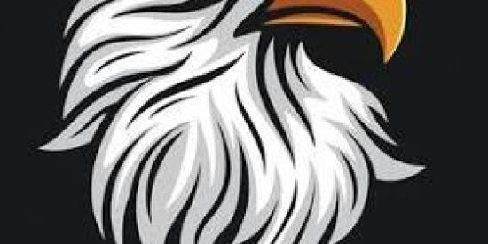 Imagem do grupo de WhatsApp Águia Curso