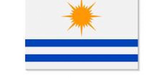 Imagem do grupo de WhatsApp Palmas