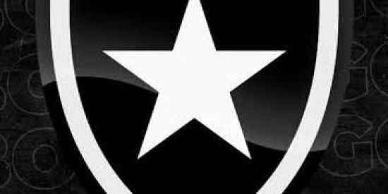 Imagem do grupo de WhatsApp Botafogo no coração 🤍🖤🤍🖤