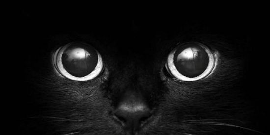 Imagem do grupo de WhatsApp ఌ︎AMIZADES e ZUEIRAS 2.0シ︎ꨄ︎ 24 HORAS