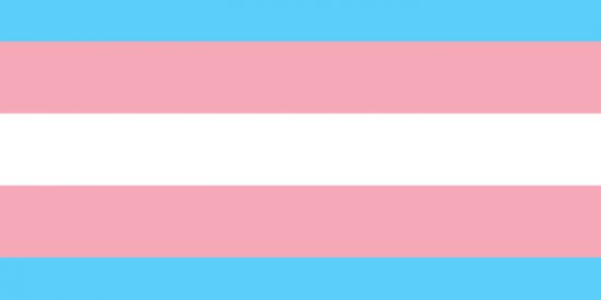 Imagem do grupo de WhatsApp • trans | hormônios