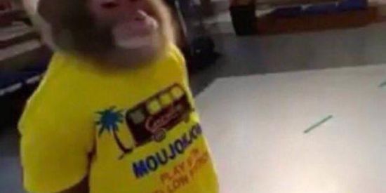 Imagem do grupo de WhatsApp ⏤͟͟͞Shit TeamBR.