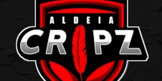 Imagem do grupo de WhatsApp ALDEIA CRIPZ