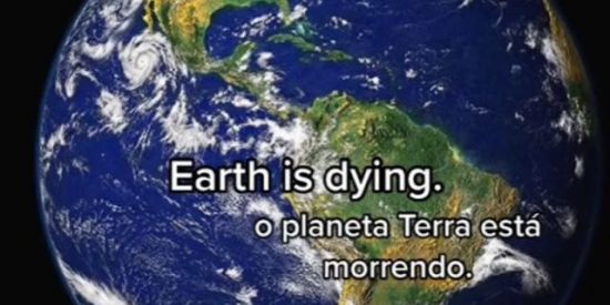 Imagem do grupo de WhatsApp helping the environment🌎