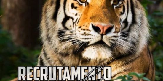 Imagem do grupo de WhatsApp 📈rєcrυταмєทτσ •gt’ร•🐯