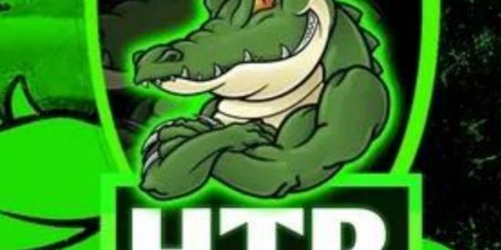 Imagem do grupo de WhatsApp HTR🇧🇷