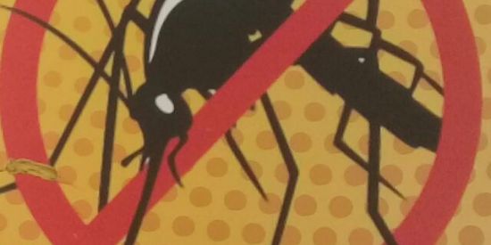 Imagem do grupo de WhatsApp Surub