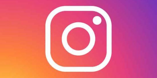 Imagem do grupo de WhatsApp 🦁SEGURIDORES NO INSTAGRAM