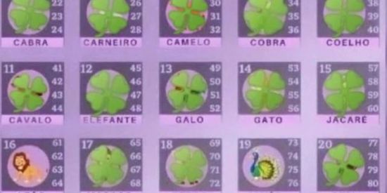 Imagem do grupo de WhatsApp Nina premiações 🤞🏽🍀🍀