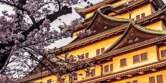 Imagem do grupo de WhatsApp Japan chat 🍓