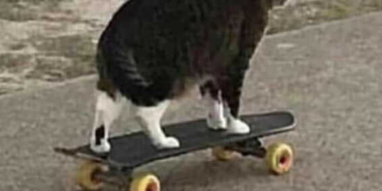 Imagem do grupo de WhatsApp Quem se apaixonar perde🤨🤟🏻