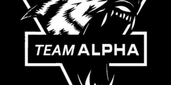 Imagem do grupo de WhatsApp ♠︎team_alpha