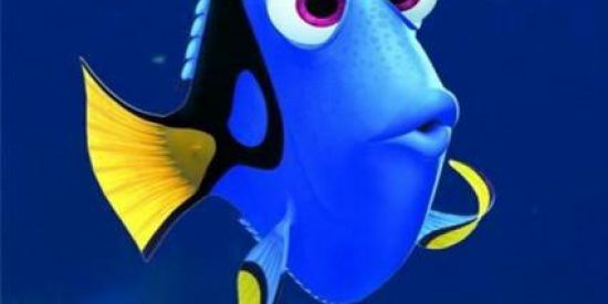 Imagem do grupo de WhatsApp fã clube do Pedro