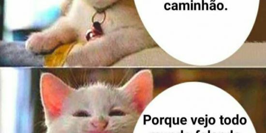 Imagem do grupo de WhatsApp Lindomarpostingkk