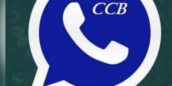 Imagem do grupo de WhatsApp 🇧🇷 C.C.B BRASIL 🇧🇷