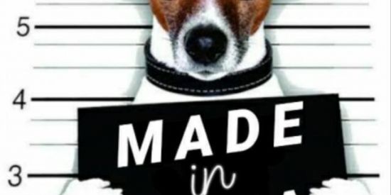 Imagem do grupo de WhatsApp MADE IN ZUEIRA 2.1