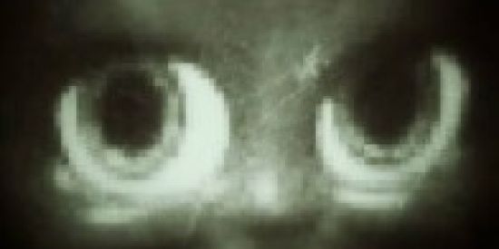 Imagem do grupo de WhatsApp Bonde da Zoeira