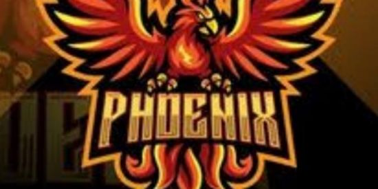 Imagem do grupo de WhatsApp ORG PHOENIX #1