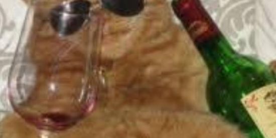 Imagem do grupo de WhatsApp Memedeiraa Shitpost