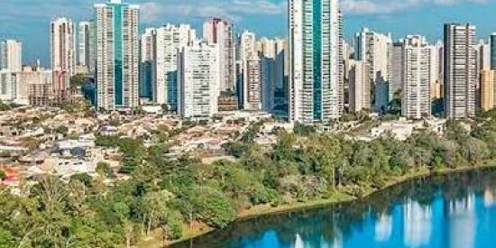 Imagem do grupo de WhatsApp 043 Londrina pr✌