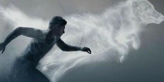 Imagem do grupo de WhatsApp WEREWOLF TRAINING