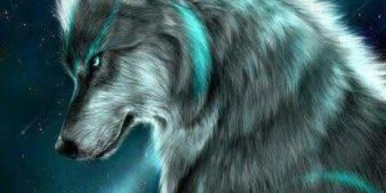 Imagem do grupo de WhatsApp Alcatéia lúpinos🐺🐺