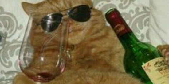 Imagem do grupo de WhatsApp HOSPICIO