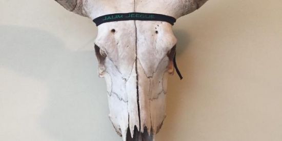 Imagem do grupo de WhatsApp PRATICANTES DE CONFLITOS