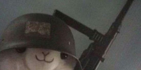 Imagem do grupo de WhatsApp tropa da sotristekkjk 👻