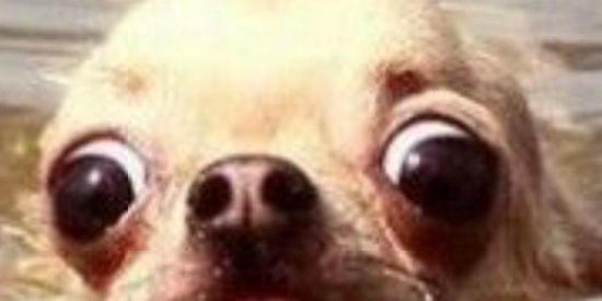 Imagem do grupo de WhatsApp O milagre não sessou🙇🏾‍♀️